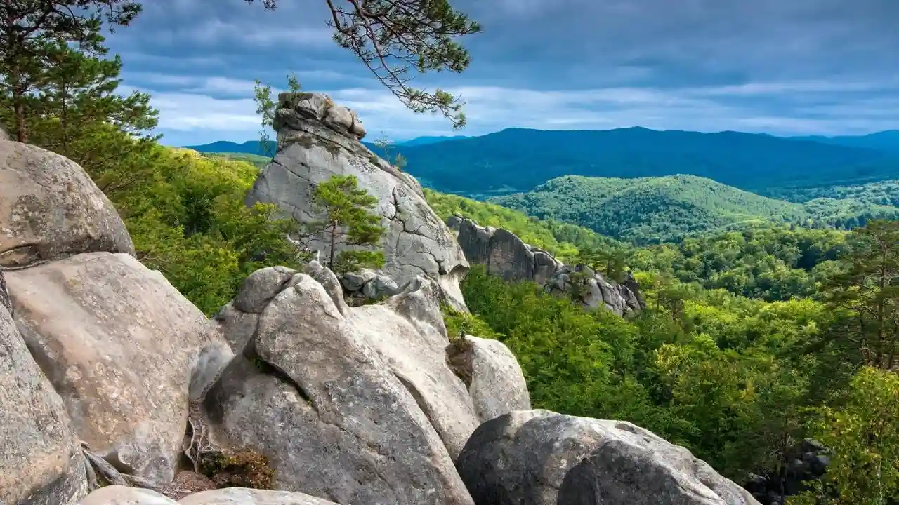 Close position image