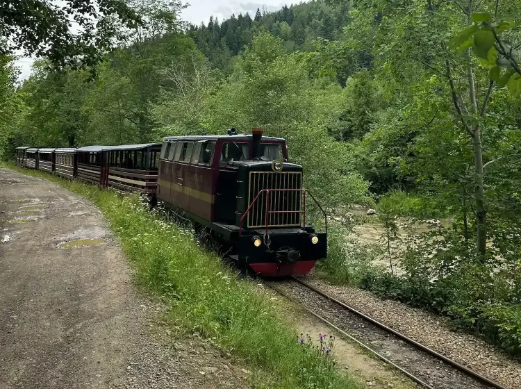 The only narrow-gauge railway image